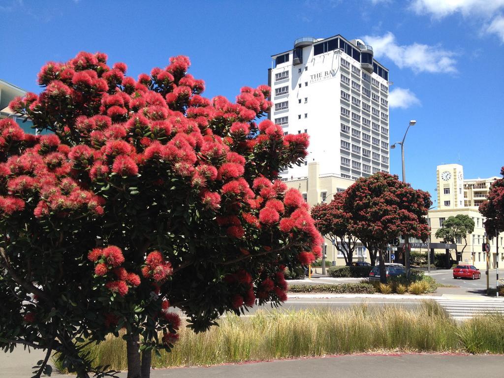 Bay Plaza Hotel Wellington Exterior photo