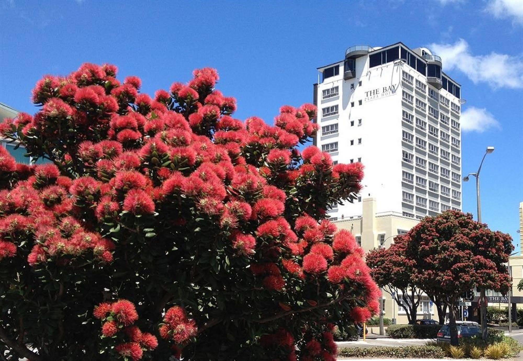Bay Plaza Hotel Wellington Exterior photo